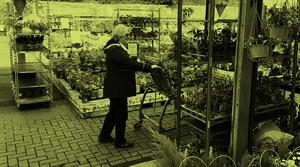 Garden centre shoppers